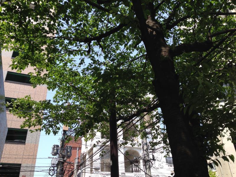 Fukuoka Guesthouse Little Asia Kokura Кіта-Кюшю Екстер'єр фото
